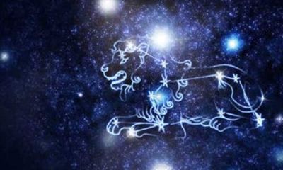 最欣赏狮子座的星座（十二星座谁欣赏狮子座）