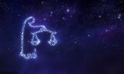 天秤座男生喜欢什么女生的身材啊（射手座女生性格）