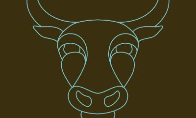 金牛女朋友多吗（金牛和摩羯配对）