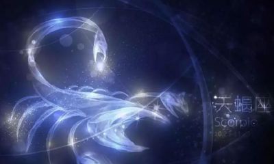 天蝎座6月塔罗爱情（塔罗占卜天蝎座今日爱情运势）