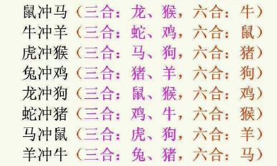 属猪的与属羊的合不合（属猪的与属羊的相配好不好）