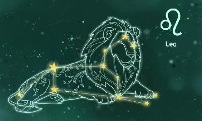 狮子座能打败双子座吗（双子座和摩羯座配吗）