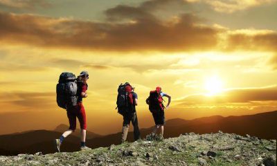 射手座喜欢和哪个星座做朋友（射手座最好的星座朋友）