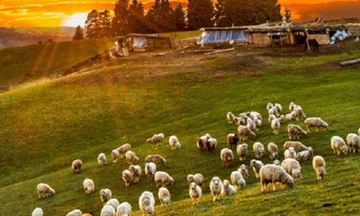 什么属相摩羯座最厉害（天蝎摩羯哪个厉害）