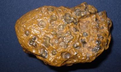 天珠手串怎么开光（如何开光手串）