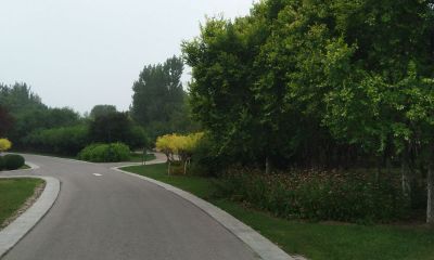 梦见自己喜欢的人牵自己手（梦见紧紧牵着喜欢的人的手）