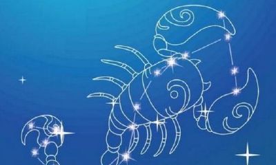 11月是14号什么星座（8月2号是什么星座）