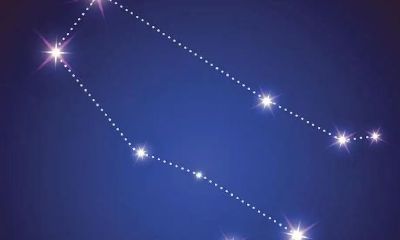 双子座典型性格特点（双子座喜欢一个人）