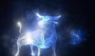 本命佛算命网十二星座运势（美国神婆星座运势查询）