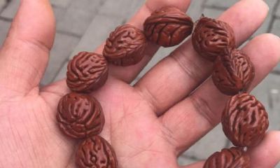 桃核开光有什么讲究（开光菩提子有什么讲究）