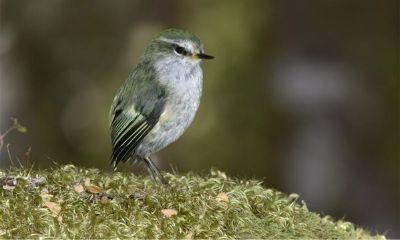 婚配女大三好吗（婚配忌讳女大一）