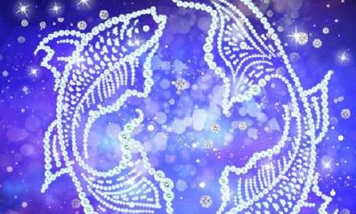 狮子处女座是什么性格特点（狮子座的特征是什么）