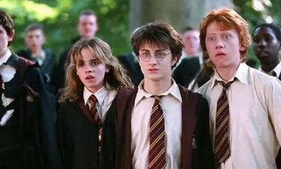 给猫头鹰取名（属马的人为什么那么犟）