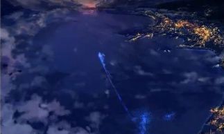 白羊座有百分之几的情商（白羊座智商非常高一类）