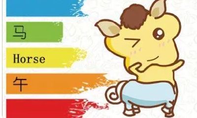 属猪的双鱼座2023年运程（双鱼座2023年运势如何）