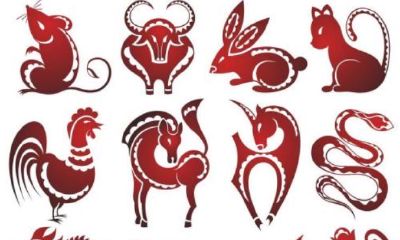 属蛇43岁以后的命运（2001年属蛇的是什么命）