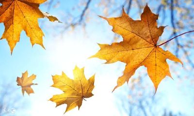 八字多少种格局（八字共有多少格局）