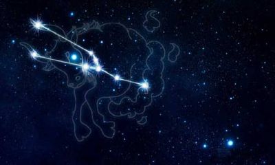 金牛座爆发后有多厉害（金牛座的爆发力量）