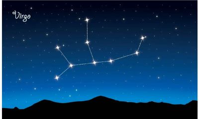 男双鱼和处女座合适吗（最疼双鱼女的星座男是）