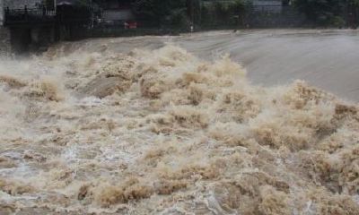 周公解梦梦到下雨发洪水被困车里（梦见水里有蛇是什么意思）