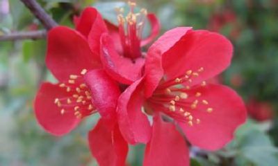 水瓶女床上主动么（天蝎男水瓶女在床上）