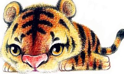 属相狗和猪合不合（生肖属狗和属猪好不好）