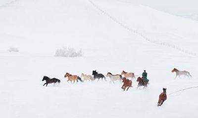1992属马在2023劫数（1954年属马的是什么命）
