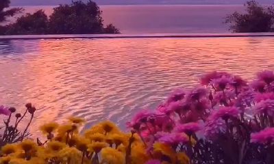 为什么会一直梦到前任（反复梦到前任说明什么）