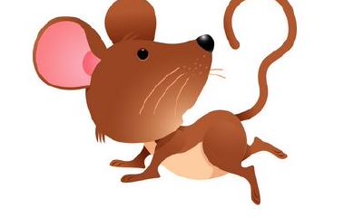 九死一生什么生肖（五行与四季颜色的对应）