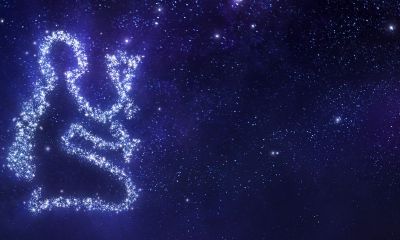 处女座女生喜欢什么性格的朋友（处座男喜欢什么星座的女生）