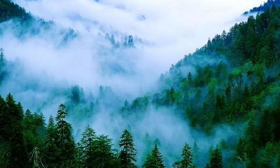 双子女怎么吸引水瓶男（水瓶男爱双子的方式）