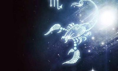 天蝎的人创业容易成功（天蝎座创业会不会成功）