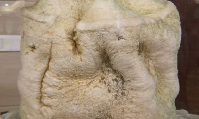 太岁产于哪里（破太岁怎么化解）