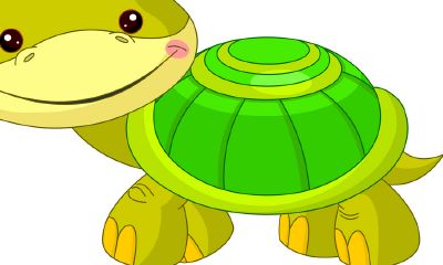 乌龟取名字男生（乌龟取名字带财运又辟邪）