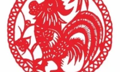 让属鸡男死心塌地的生肖女（属鸡男会粘哪些生肖女）