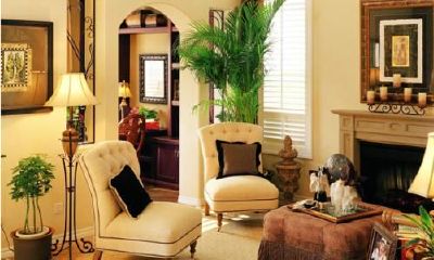 发财竹怎么摆放招财（金蟾怎么摆放招财）