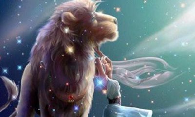 8月14日是狮子座（8月8号狮子座）