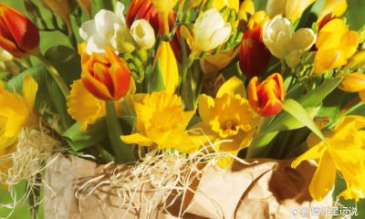 2023年属鼠女水瓶座详细运势（白羊座今日运势）