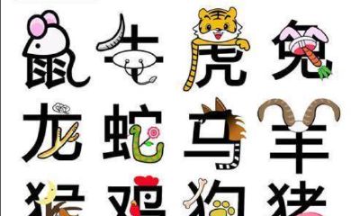 1995属猪人在2023年的运势男（1983年属猪运势）