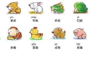 90年是属于什么生肖啊（90年配什么属相最好）