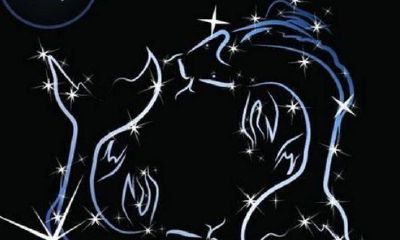 深度分析双鱼座是怎样的人（双鱼座是什么样的人）