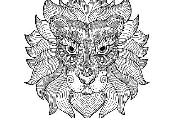 狮子座男生对女朋友好吗（狮子男喜欢什么样的女朋友）