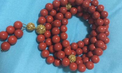 生肖鸡可以带朱砂吗（生肖鸡可以佩戴朱砂吗）