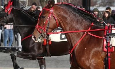 面相骨相图解（面相三十八种贵骨图）