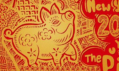 属猪和属猪合财（属虎和什么属相合财）