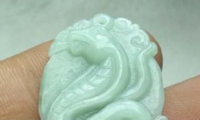 属猴的四大忌属相是哪些（1981年属鸡一生有二婚）