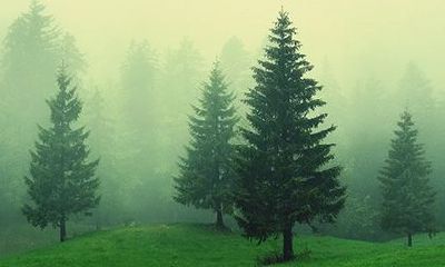 2023除夕时辰吉凶（算命说孩子是观音送子命不好）