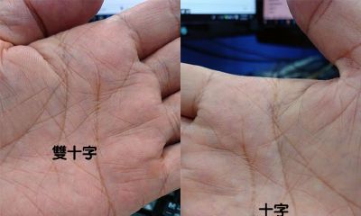 手相中的神秘十字纹（田字纹手相图解）
