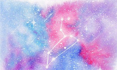 狮子座星座狗（能毁掉狮子座的星座）