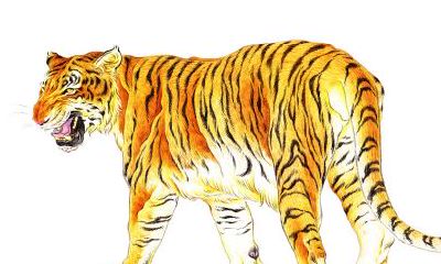 才字取名男孩名字（才字辈男孩起名大全）